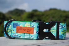 Load image into Gallery viewer, PINEAPPLE DOG COLLAR-3.8cm