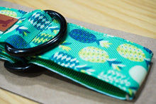 Load image into Gallery viewer, PINEAPPLE DOG COLLAR-3.8cm
