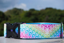 Load image into Gallery viewer, JENNIFER DOG COLLAR - 3.8cm