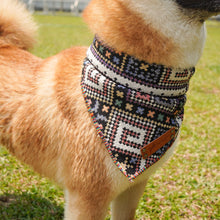 將圖片載入圖庫檢視器 TEMPLE 圍巾