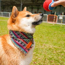 Load image into Gallery viewer, NATION ROLLED BANDANA