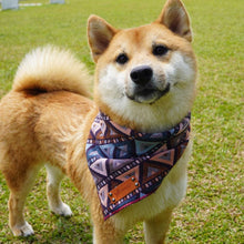 Load image into Gallery viewer, TRIANGLE ROLLED BANDANA