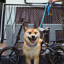 Load image into Gallery viewer, TWO COLOR LEASH 4.5ft