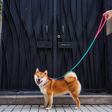 將圖片載入圖庫檢視器 雙色拖帶 (6尺)TWO COLOR LEASH 6ft