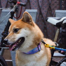 Load image into Gallery viewer, GALAXY DOG COLLAR - 3.8cm