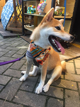 將圖片載入圖庫檢視器 Amazing Summer 圍巾