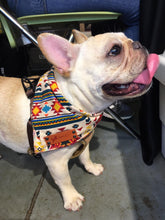 將圖片載入圖庫檢視器 Amazing Summer 圍巾