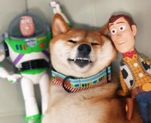 Load image into Gallery viewer, BUZZ DOG COLLAR - 3.8cm