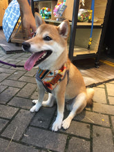 將圖片載入圖庫檢視器 Amazing Summer 圍巾