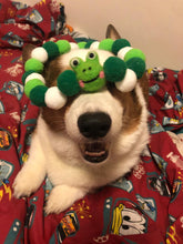 Load image into Gallery viewer, POMPOM NECKLACE - Baby Frog