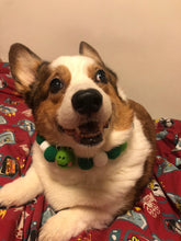 Load image into Gallery viewer, POMPOM NECKLACE - Baby Frog