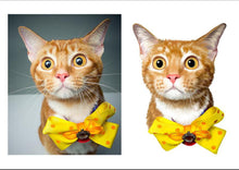 將圖片載入圖庫檢視器 《訂製》人手繪畫 主人寵物畫 寵物肖像 (電子檔案)