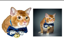 將圖片載入圖庫檢視器 《訂製》人手繪畫 主人寵物畫 寵物肖像 (電子檔案)