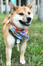 將圖片載入圖庫檢視器 Arrow Fresh 凍圍巾