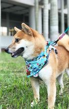 將圖片載入圖庫檢視器 Tiffany Fresh Bandana 冰藍凍圍巾