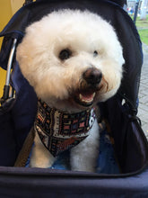 將圖片載入圖庫檢視器 TEMPLE 圍巾