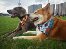 將圖片載入圖庫檢視器 Amazing Summer 圍巾