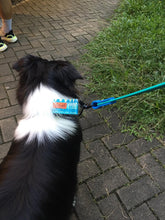 將圖片載入圖庫檢視器 多功能拖帶 (6尺)MULTI-FUN LEASH 6ft