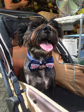 Load image into Gallery viewer, 046 RIBBON BOWTIE