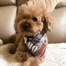 Load image into Gallery viewer, LAVENDER ROLLED BANDANA