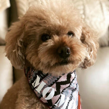 Load image into Gallery viewer, LAVENDER ROLLED BANDANA