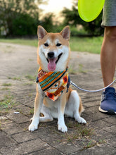 將圖片載入圖庫檢視器 多功能拖帶 (6尺)MULTI-FUN LEASH 6ft