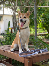 將圖片載入圖庫檢視器 多功能拖帶 (7尺)MULTI-FUN LEASH 7ft