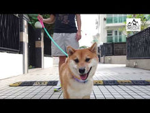 將影片載入圖庫檢視器並播放,雙色拖帶 (5尺)TWO COLOR LEASH 5ft