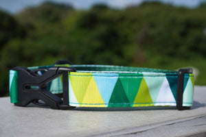 GREENE DOG COLLAR - 2.5cm