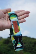 將圖片載入圖庫檢視器 GREENE DOG COLLAR - 2.5cm
