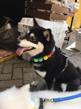 將圖片載入圖庫檢視器 波波頸帶 Rainbow - POMPOM NECKLACE
