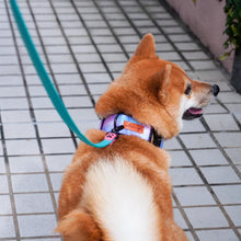 將圖片載入圖庫檢視器 GALAXY DOG COLLAR - 3.8cm
