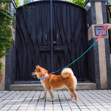 將圖片載入圖庫檢視器 GALAXY DOG COLLAR - 3.8cm
